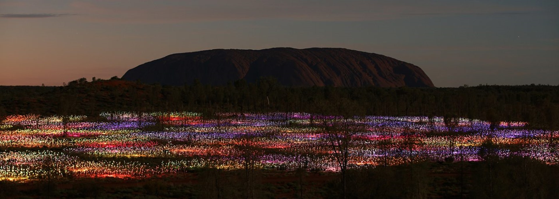 Field of Lights Uluru